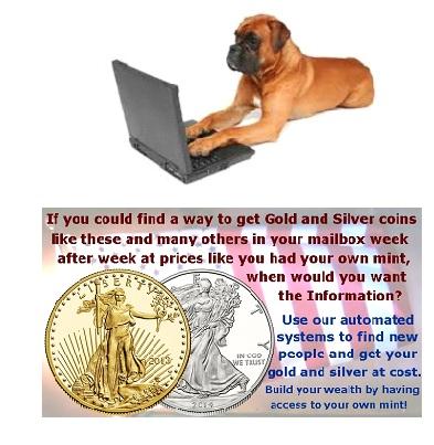 Dog Search Cryptocurrency